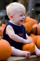 Granger in the Pumpkin Patch