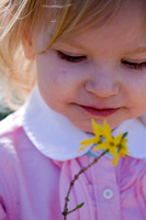 Spring 2013