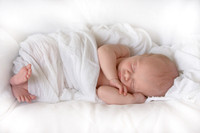 Baby Joe Maples