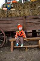 Granger at the Pumpkin Patch 2013